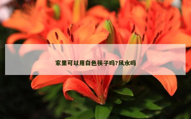 家里可以用白色筷子吗?风水吗