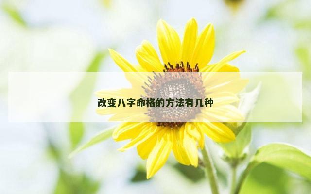 改变八字命格的方法有几种