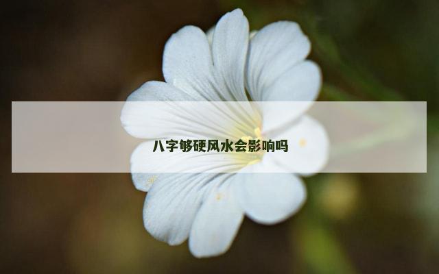 八字够硬风水会影响吗