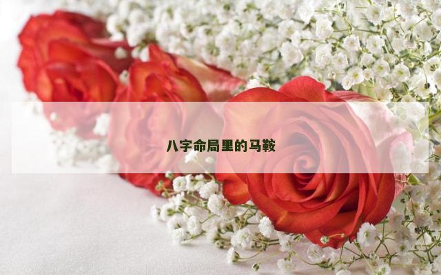 八字命局里的马鞍