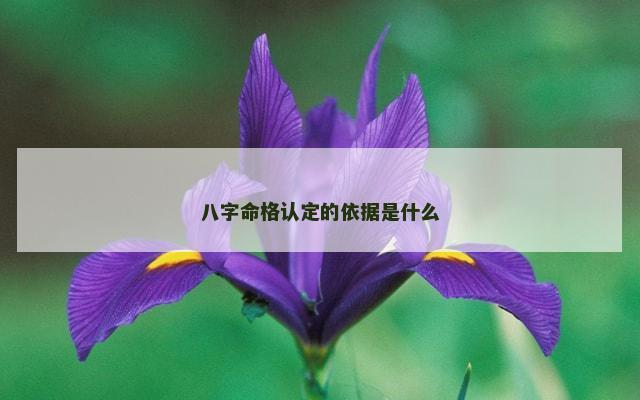 八字命格认定的依据是什么