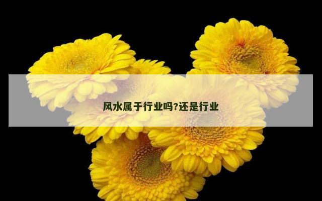 风水属于行业吗?还是行业