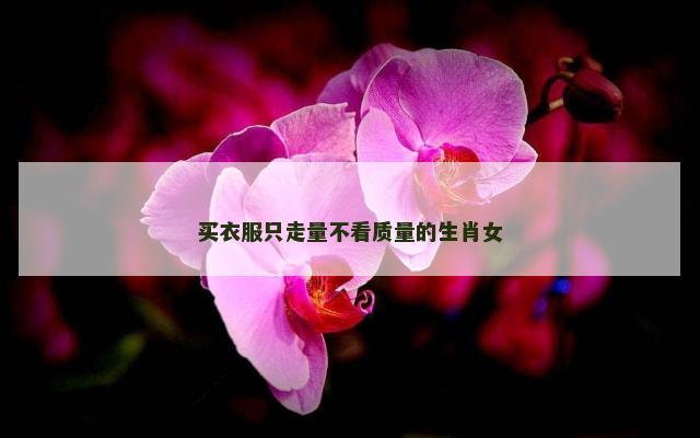 买衣服只走量不看质量的生肖女