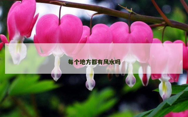 每个地方都有风水吗