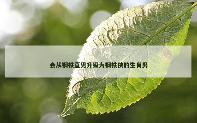 会从钢铁直男升级为钢铁侠的生肖男