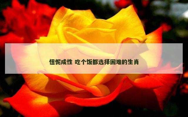 忸怩成性 吃个饭都选择困难的生肖