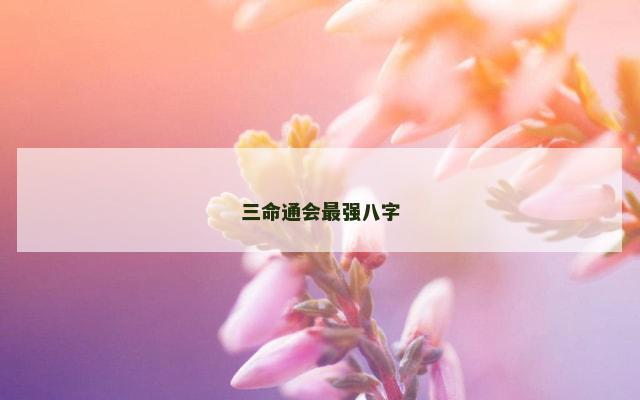 三命通会最强八字