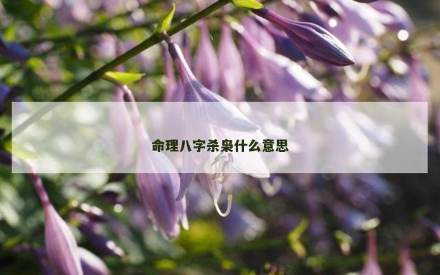 命理八字杀枭什么意思