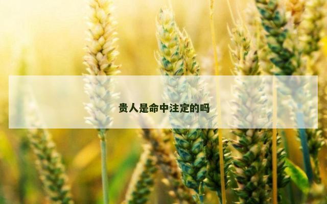 贵人是命中注定的吗