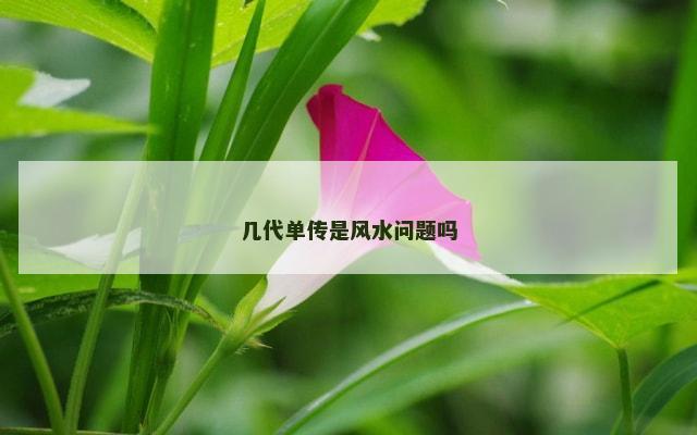 几代单传是风水问题吗