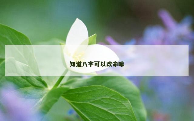 知道八字可以改命嘛