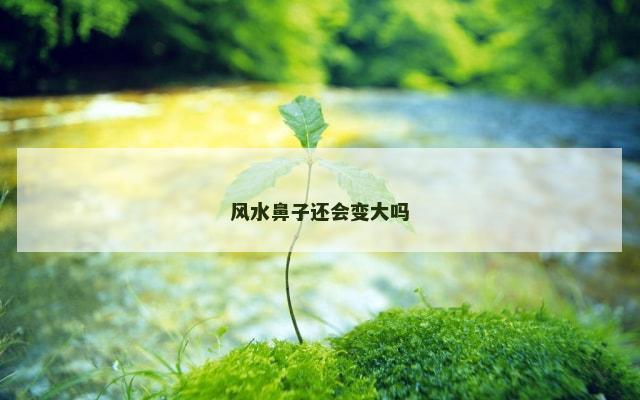 风水鼻子还会变大吗