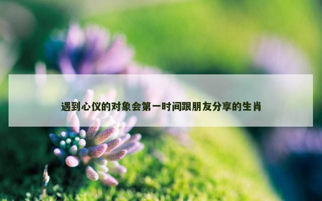 遇到心仪的对象会第一时间跟朋友分享的生肖