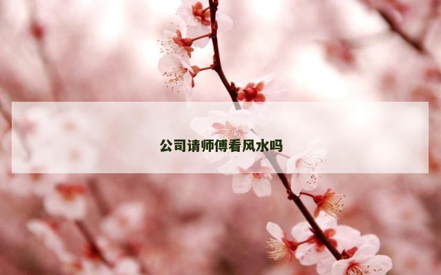 公司请师傅看风水吗