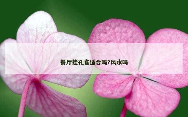 餐厅挂孔雀适合吗?风水吗