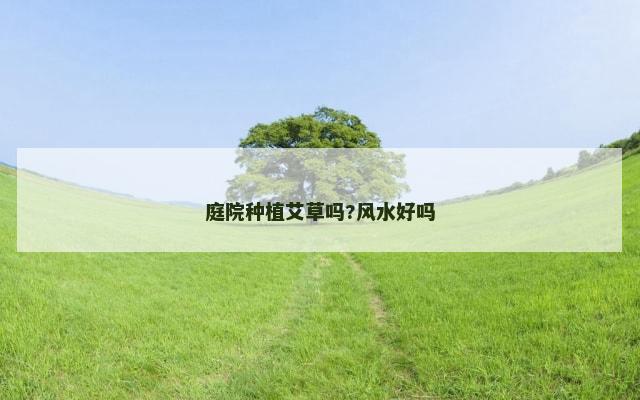 庭院种植艾草吗?风水好吗