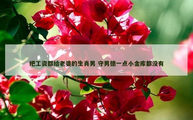 把工资都给老婆的生肖男 守男德一点小金库都没有