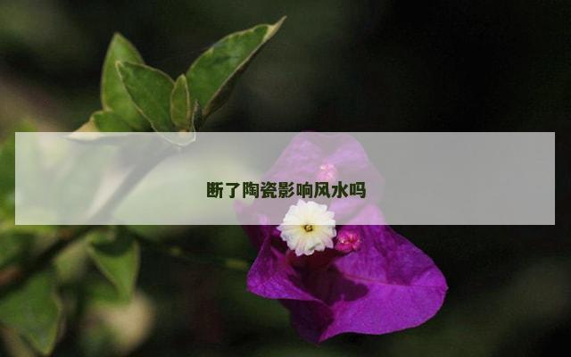 断了陶瓷影响风水吗