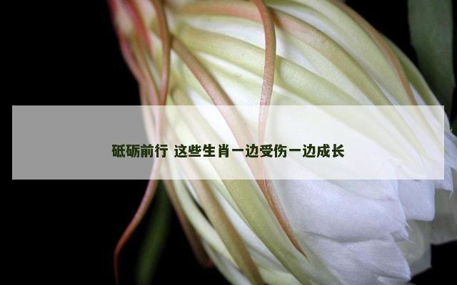 砥砺前行 这些生肖一边受伤一边成长