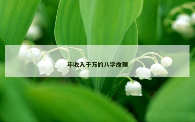 年收入千万的八字命理