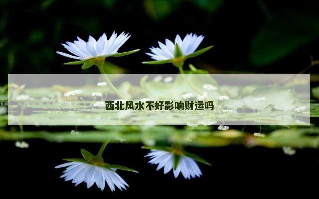 西北风水不好影响财运吗