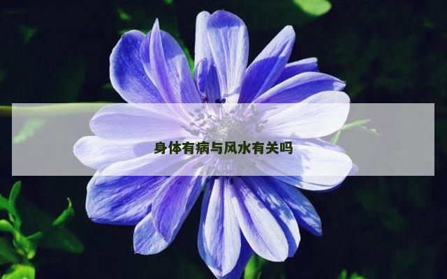 身体有病与风水有关吗