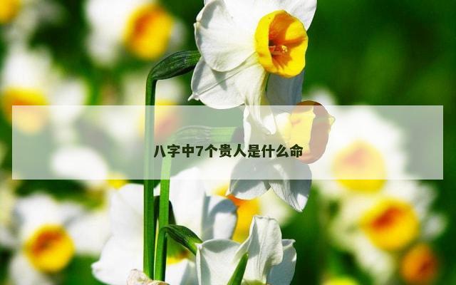 八字中7个贵人是什么命