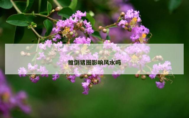 推倒猪圈影响风水吗