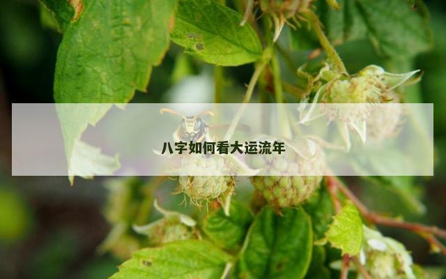 八字如何看大运流年