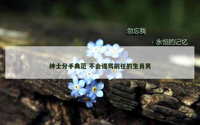 绅士分手典范 不会谩骂前任的生肖男
