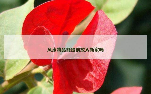 风水物品能提前放入新家吗