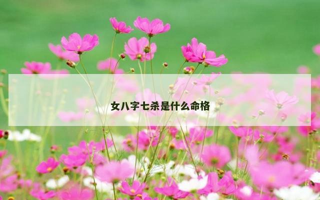 女八字七杀是什么命格
