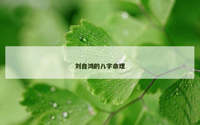 刘自鸿的八字命理