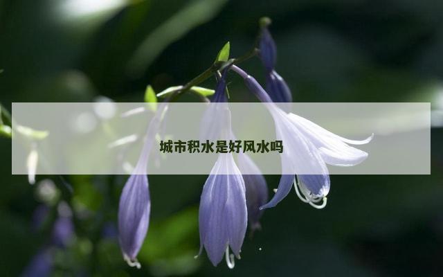 城市积水是好风水吗