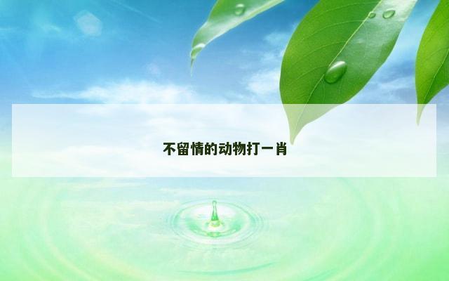 不留情的动物打一肖