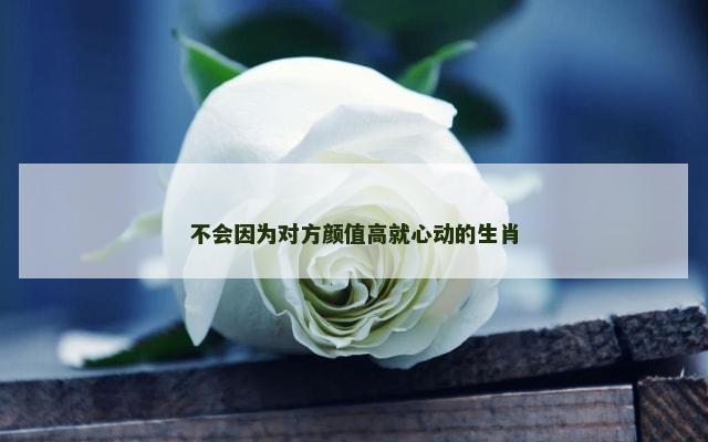 不会因为对方颜值高就心动的生肖