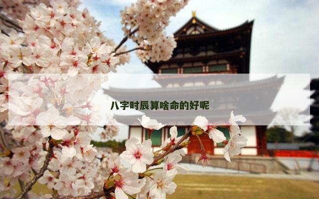 八字时辰算啥命的好呢