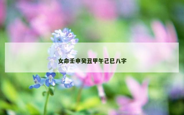 女命壬申癸丑甲午己巳八字