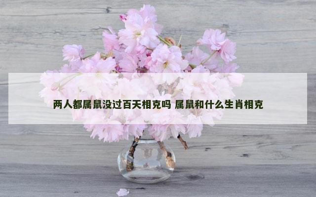 两人都属鼠没过百天相克吗 属鼠和什么生肖相克