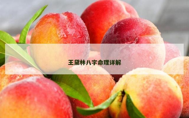 王黛林八字命理详解