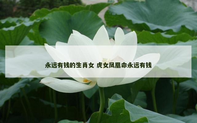 永远有钱的生肖女 虎女凤凰命永远有钱