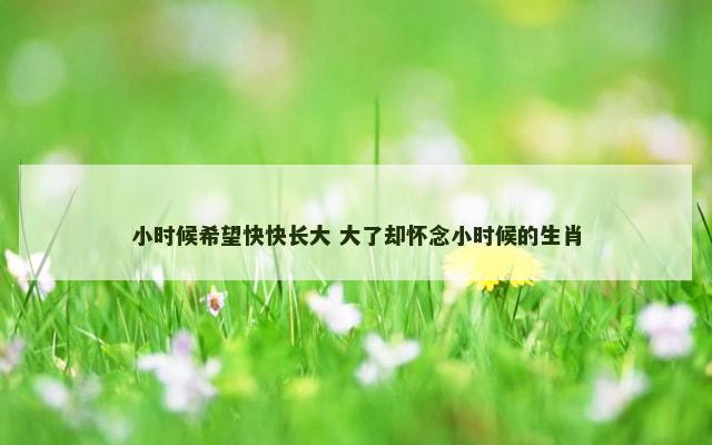 小时候希望快快长大 大了却怀念小时候的生肖