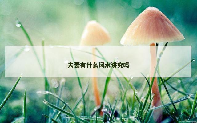 夫妻有什么风水讲究吗