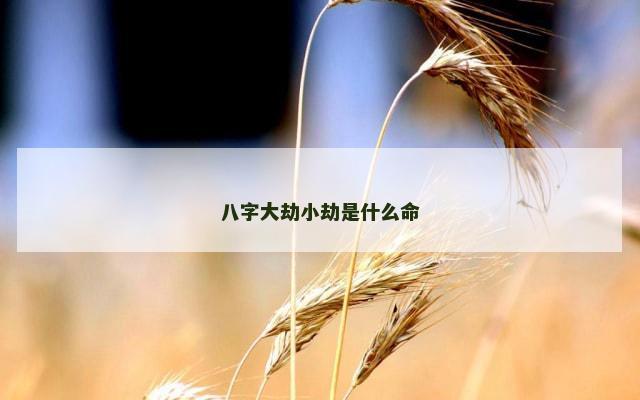 八字大劫小劫是什么命