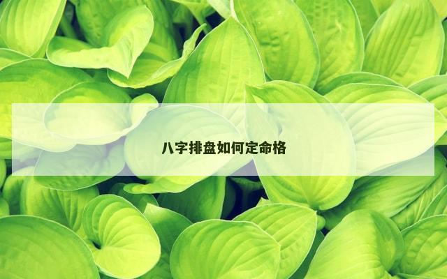 八字排盘如何定命格