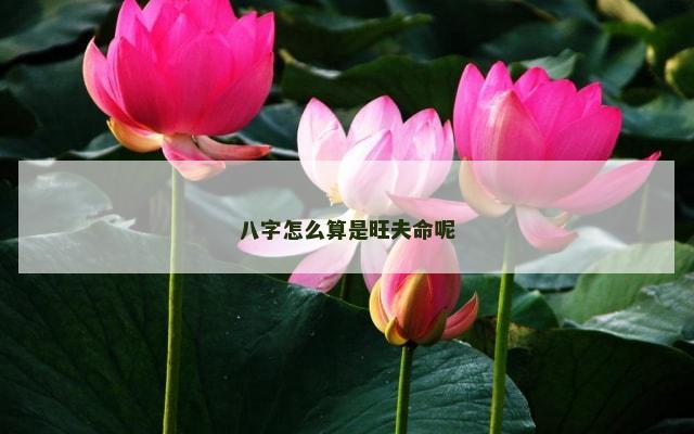 八字怎么算是旺夫命呢