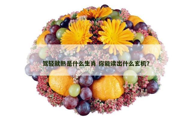 驾轻就熟是什么生肖 你能读出什么玄机？