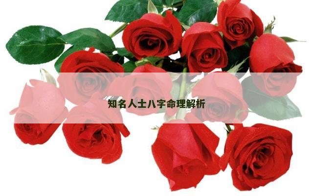 知名人士八字命理解析