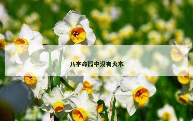 八字命局中没有火木