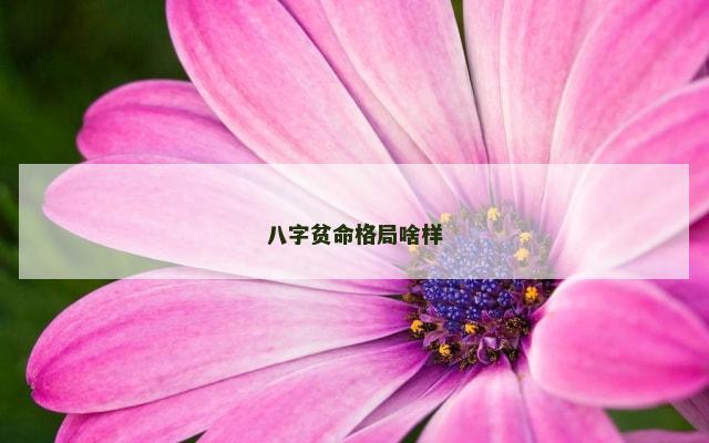 八字贫命格局啥样